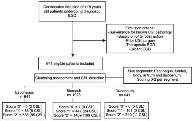Prospective validation of the Barcelona scale for the assessment of mucosal cleanliness during upper gastrointestinal endoscopy.