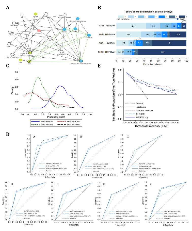 Stress Hyperglycemia Ratio and Hemoglobin to RDW Ratio in Predicting the Outcomes of Thrombolysis-Treated Stroke: A Retrospective Cohort Study.