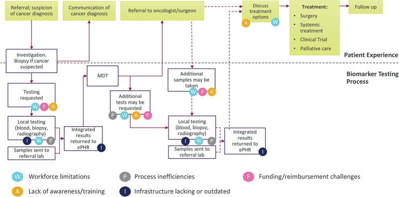 Access to treatment-guiding biomarkers in the UK: surveys of cancer patients and healthcare professionals.