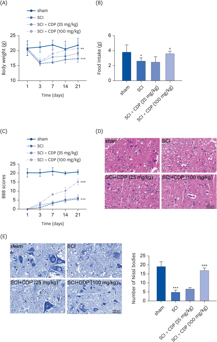 <i>Cistanche deserticola</i> polysaccharide alleviates spinal cord injury in mice by inhibiting NLRP3 inflammasome activation.