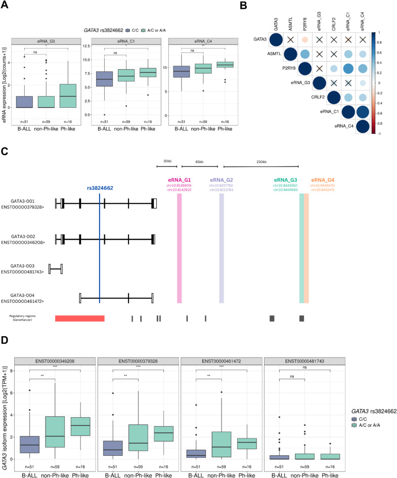 Enhancer RNAs contribute to genome reprogramming driven by a GATA3 noncoding variant in leukaemia.
