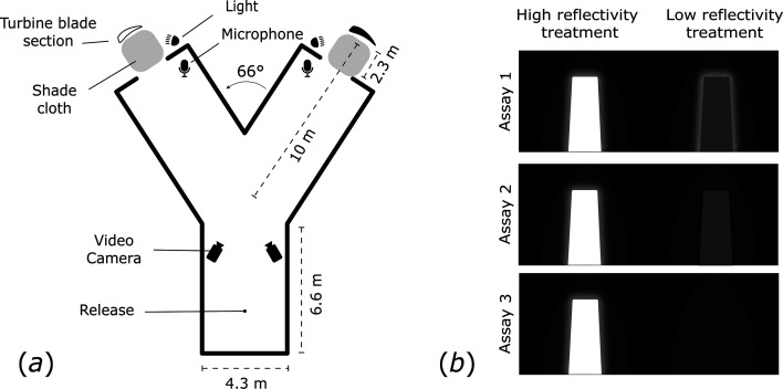 Bats flying through a Y-maze are visually attracted to wind turbine surfaces.