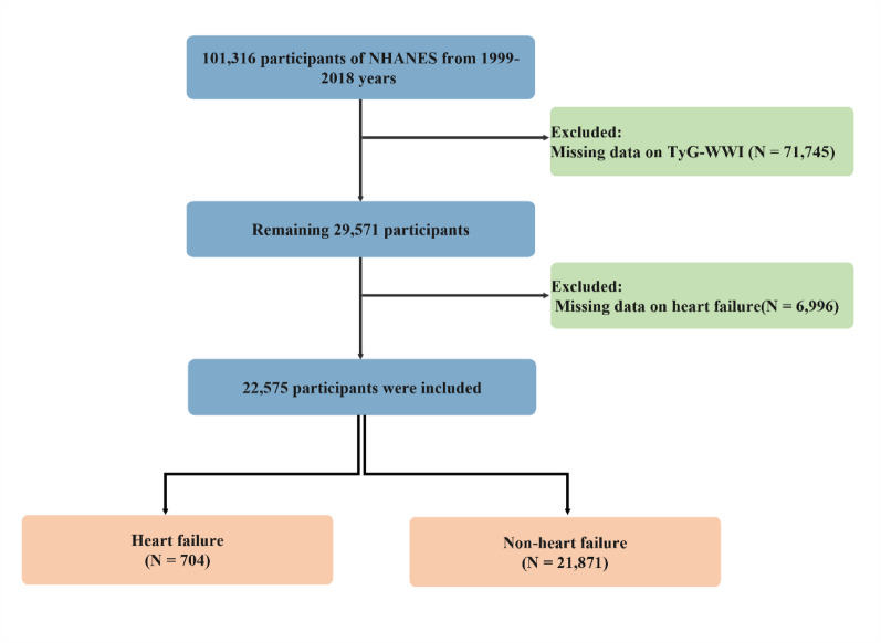 The novel triglyceride‒glucose-weighted adjusted waist index as a supplementary diagnostic tool for heart failure: evidence of improved reclassification beyond traditional TyG-related indices from a cross-sectional study.