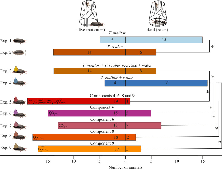 Glandular quinoline-derivates protect crustacean woodlice from spider predation.
