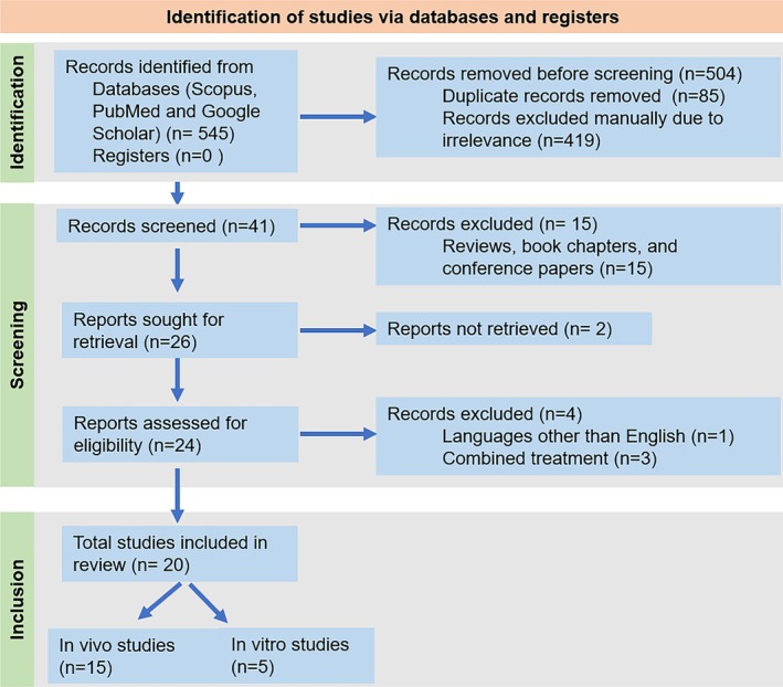 Mangiferin Against Respiratory Diseases: Pharmacological Targets and Prospects.