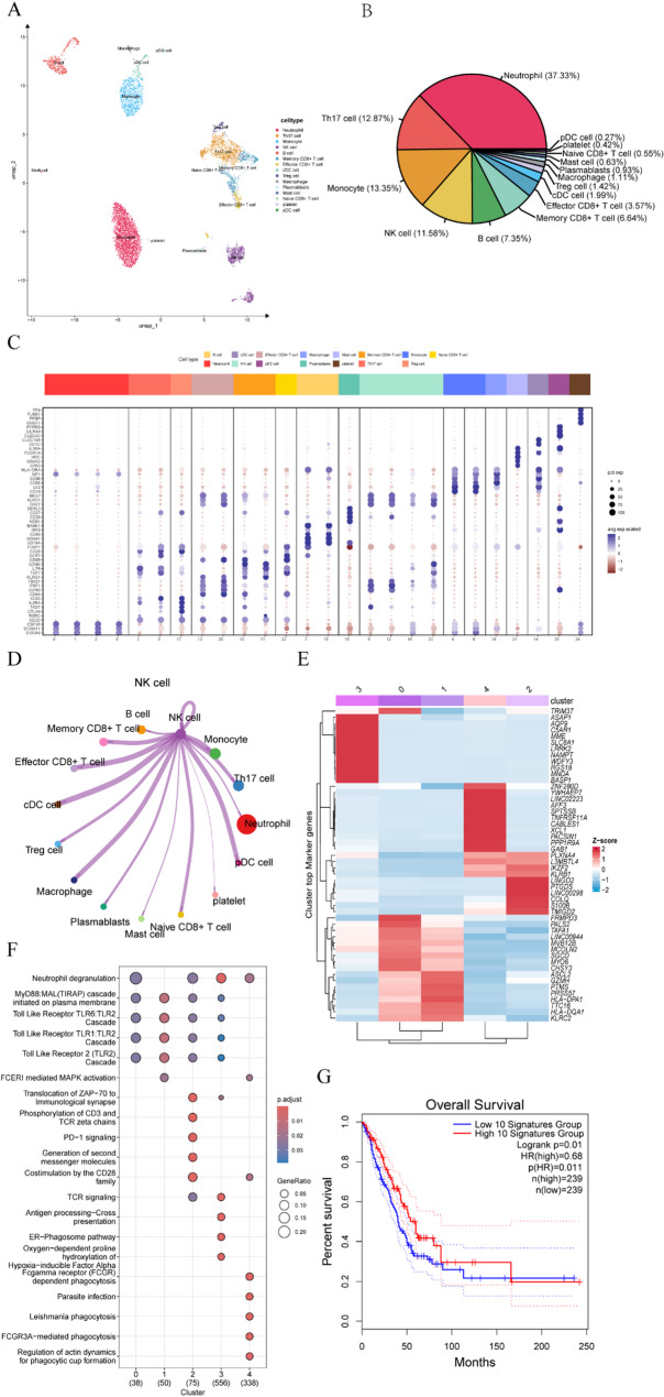 A Rare Case of Long-Term Survival in Stage IIIB Lung Adenocarcinoma: an 9-Year Follow-Up.