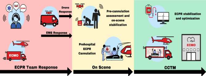 Immediate post-ECPR management strategies in the prehospital and critical care transport medicine environments.
