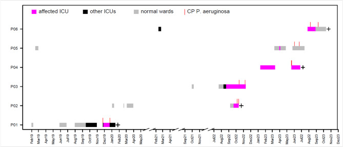 Hidden transmissions of Pseudomonas aeruginosa ST111 -the importance of continuous molecular surveillance.