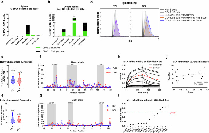 Priming VRC01-precursor B cells with non-envelope immunogens disfavors boosting with HIV-1 envelope.