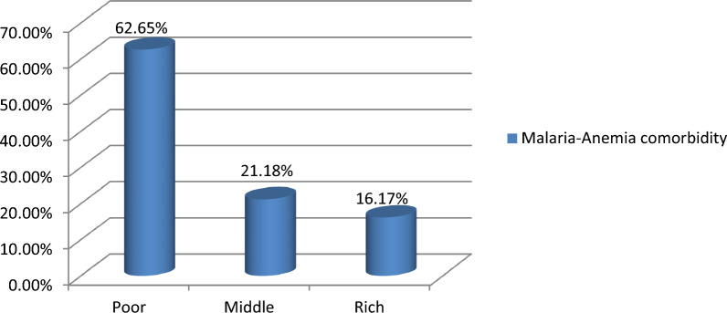 Malaria-anemia comorbidity and its determinants among pregnant women in high- and moderate-malaria-risk countries in Sub-Saharan Africa.