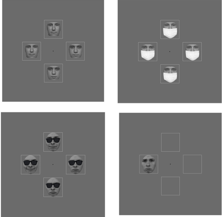 Ensemble perception of faces with naturalistic occlusions.