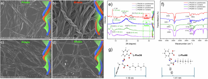 Supramolecular chiral inversion and regulation of phenylalanine-based organogels in low-polarity achiral solvents.