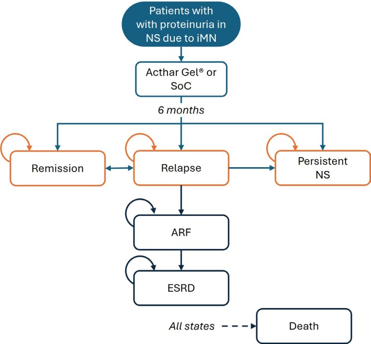 Cost per Response of Acthar® Gel vs Standard of Care for the Treatment of Proteinuria in Nephrotic Syndrome Due to Idiopathic Membranous Nephropathy Among Adults from the US Healthcare Perspective.