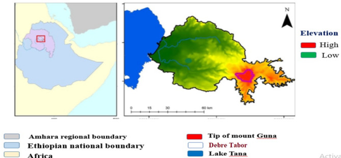 Strongyloides stercoralis contamination and risk factors in market vegetables: hidden dangers of communities living under poverty plate.