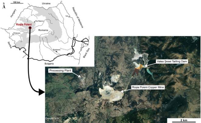 Increasing the fungal inoculation of mine tailings from 1 to 2% decreases plant oxidative stress and increases the soil respiration rate.