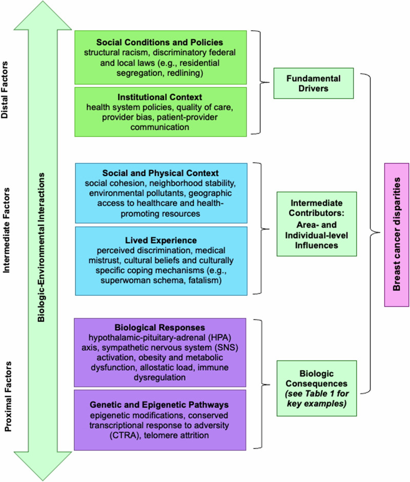 A Society-to-Cells approach to evaluating multilevel and interrelated drivers of breast cancer disparities in Black women.