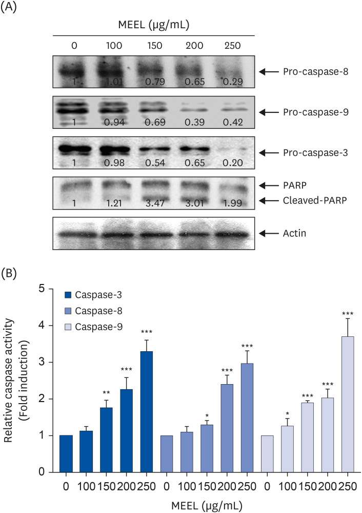 Methyl alcohol extract of marine green alga <i>Enteromorpha linza</i> (Linnaeus) J. Agardh. induces reactive oxygen species-dependent growth arrest and apoptosis in human hepatocellular carcinoma Hep3B cells.