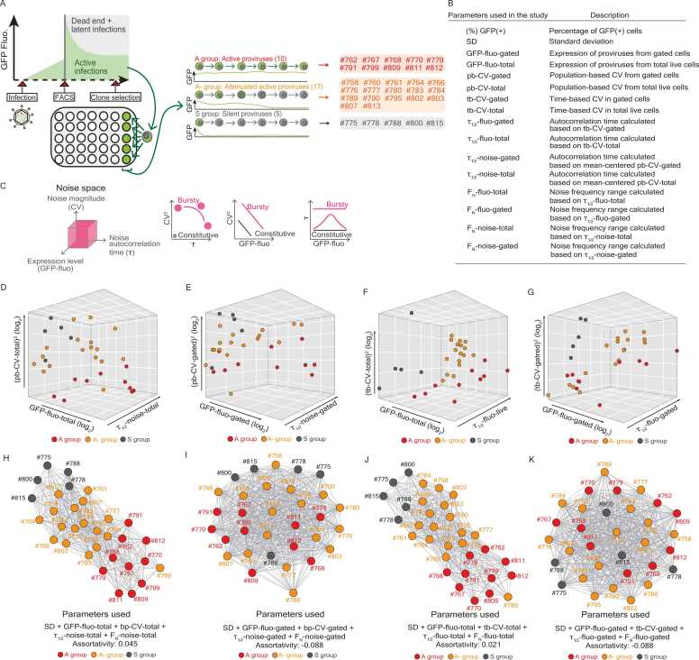 The influence of HIV sense and antisense transcripts on stochastic HIV transcription and reactivation.