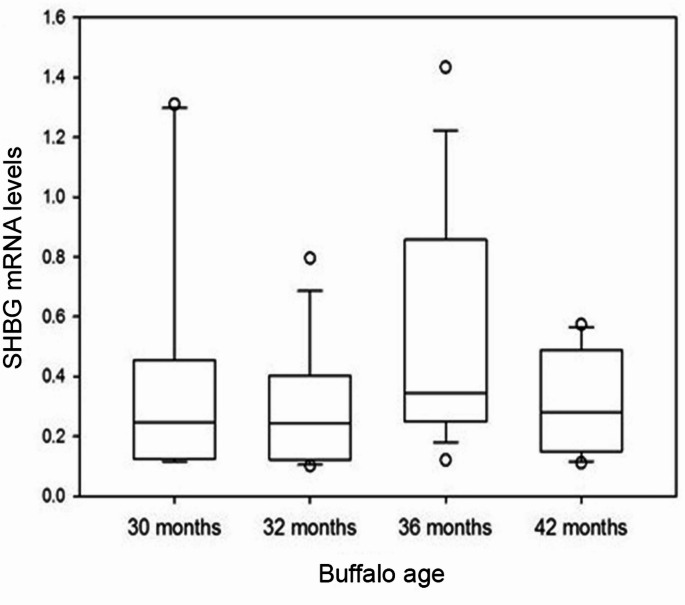 Expression of sex hormone-binding globulin gene and its relation to serum testosterone concentration in Bubalus buffaloes.