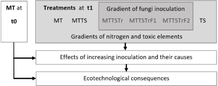 Increasing the fungal inoculation of mine tailings from 1 to 2% decreases plant oxidative stress and increases the soil respiration rate.
