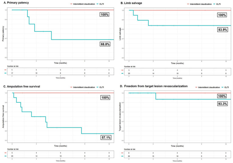 Twelve-Month Outcomes of Intravascular Lithotripsy for Treatment of Calcified Popliteal and Infrapopliteal Lesions in Patients With Chronic Limb-Threatening Ischemia.