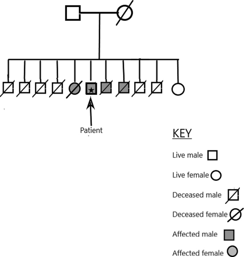 A mutation in transthyretin gene in a Mexican patient leading to hereditary amyloidosis: a case report.