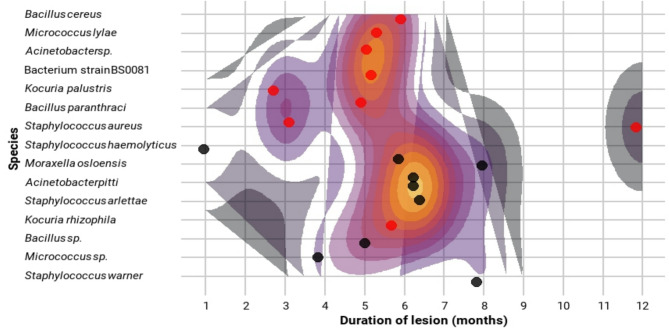 Microbial diversity in cutaneous leishmaniasis lesions and potential implications for disease progression and treatment outcomes.