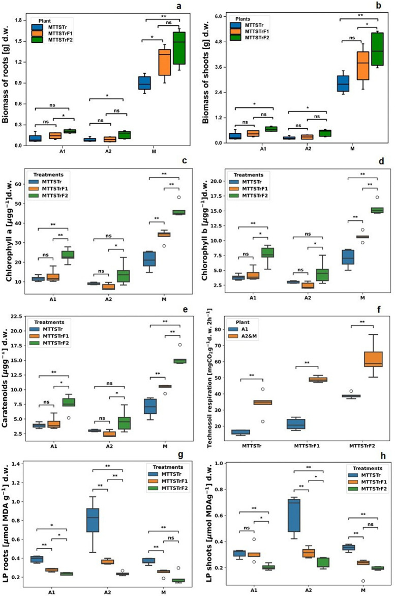Increasing the fungal inoculation of mine tailings from 1 to 2% decreases plant oxidative stress and increases the soil respiration rate.