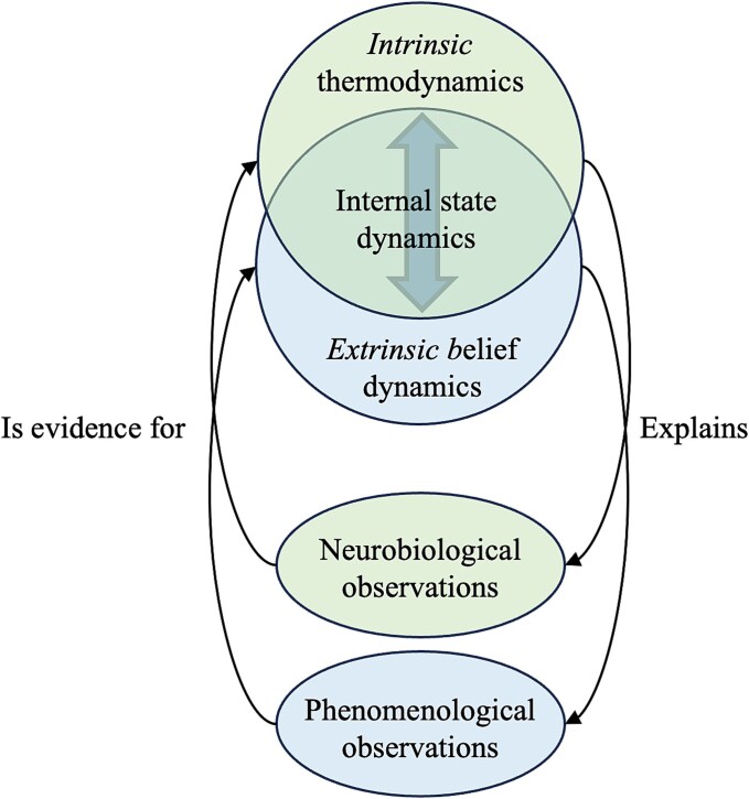 Deep computational neurophenomenology: a methodological framework for investigating the how of experience.