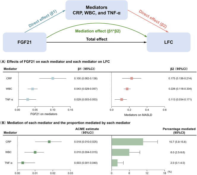 Associations among serum FGF21 levels, inflammation, and metabolic dysfunction-associated steatotic liver disease: mediation analyses in a Chinese community-based population.