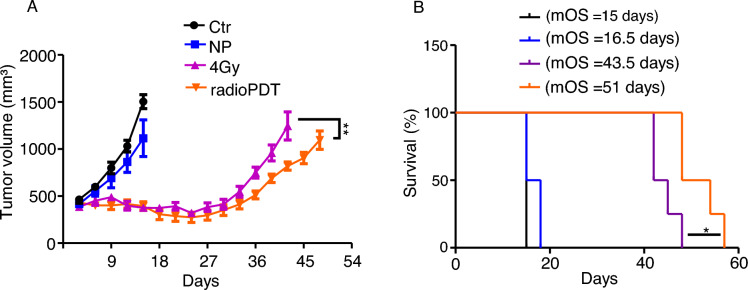Radiation activated photodynamic therapy (radioPDT) induces lipid peroxidation and vascular mediated tumor regression of prostate cancer.