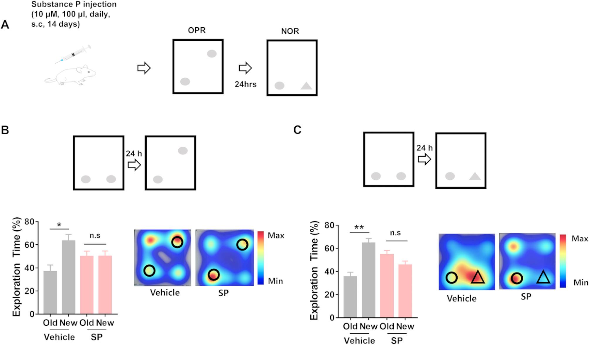 Peripheral substance P induces deficits in hippocampal synaptic plasticity and memory.