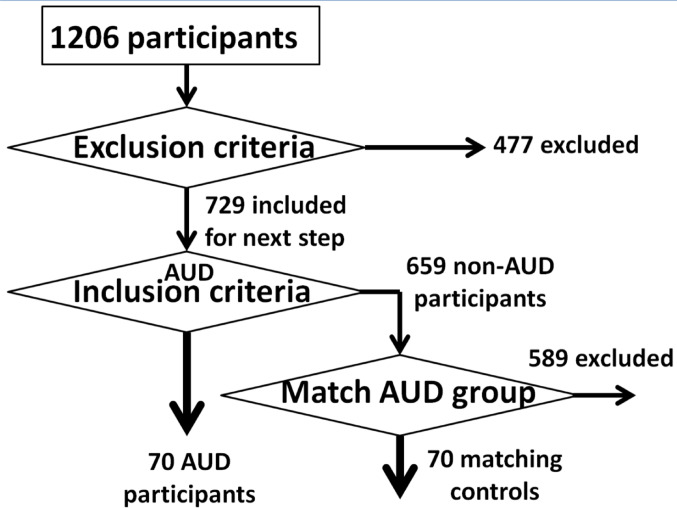 Altered effective connectivity of emotion perception and regulation networks during an emotional face perception task in adults with alcohol use disorder.