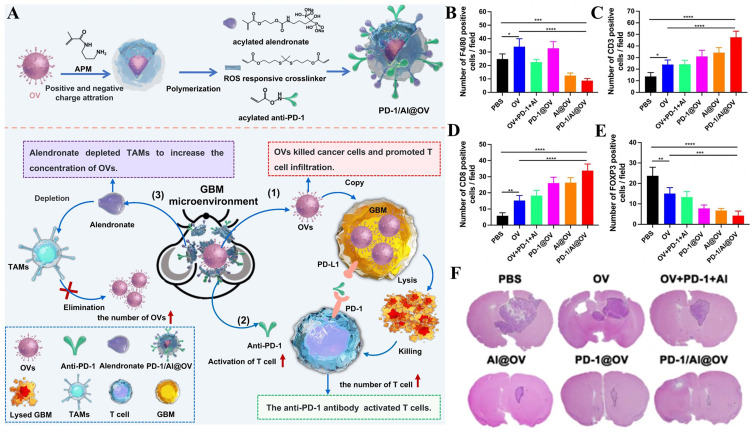 Optimizing Oncolytic Virotherapy for Malignant Glioma: From Bench to Bedside.