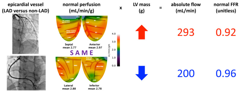 How Different is Invasive Coronary Physiology in the Left Anterior Descending Artery?