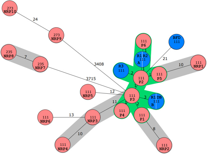 Hidden transmissions of Pseudomonas aeruginosa ST111 -the importance of continuous molecular surveillance.