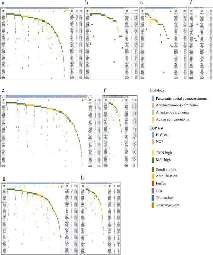 Factors associated with actionable gene aberrations in pancreatic cancer based on the C-CAT database.