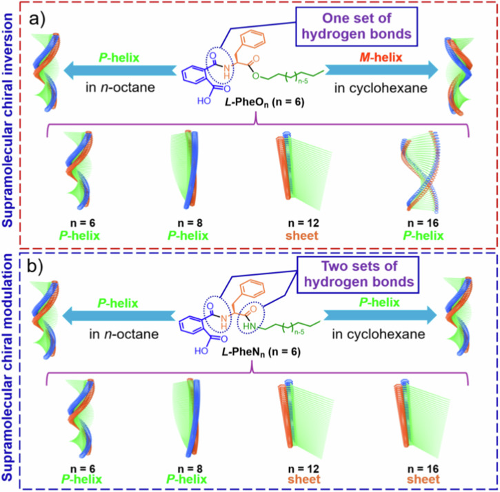 Supramolecular chiral inversion and regulation of phenylalanine-based organogels in low-polarity achiral solvents.