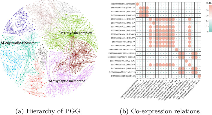 DualGCN-GE: integration of spatiotemporal representations from whole-blood expression data with dual-view graph convolution network to identify Parkinson's disease subtypes.