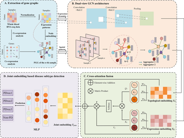 DualGCN-GE: integration of spatiotemporal representations from whole-blood expression data with dual-view graph convolution network to identify Parkinson's disease subtypes.