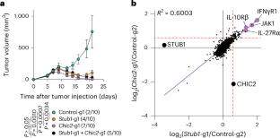 CRISPR screens identify STUB1 as an inhibitor of cytokine signaling in CD8+ T cells