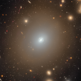 The revolution in strong lensing discoveries from Euclid