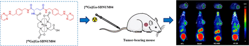 Synthesis and Evaluation of Novel C-X-C Chemokine Receptor 4-Targeted Radiotracers for Oncological Imaging