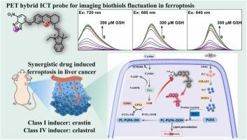 Equivalent visualizing biothiols level in synergistically induced ferroptosis using a dual mechanism hybrid probe with excitation-independent sensing property