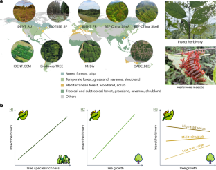 The tree growth–herbivory relationship depends on functional traits across forest biodiversity experiments