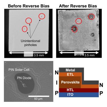 How non-ohmic contact-layer diodes in perovskite pinholes affect abrupt low-voltage reverse-bias breakdown and destruction of solar cells