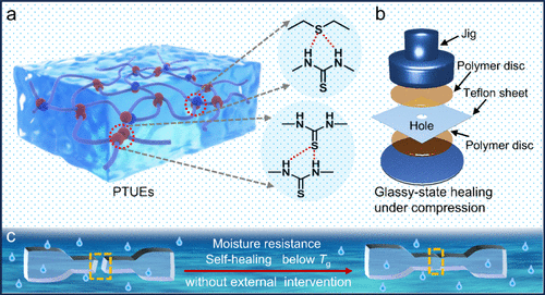 Mechanically Robust, Moisture-Resistant Poly(thioether-thiourea) Elastomers with Glassy-State Self-Healing Capability