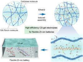 Bio-based supramolecular dual-network gel electrolytes with synergistic mechanical robustness and ionic conductivity for high-performance flexible Zn-ion batteries