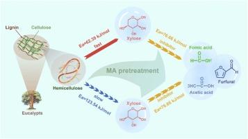 Multidimensional synergistic model for sustainable and directed conversion of hemicellulose to xylose via mandelic acid pretreatment
