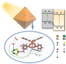 MoS2 nanoparticles/MIL-100(Fe) heterojunction with Type II interfacial charge transfer for efficient photocatalytic nitrogen reduction